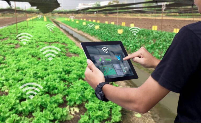 Agricultura debe reinventarse para reducir impacto en medioambiente