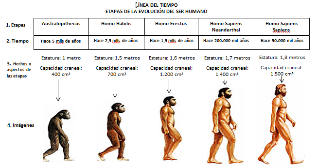 Algo más sobre la teoría evolutiva - El Diario - Bolivia