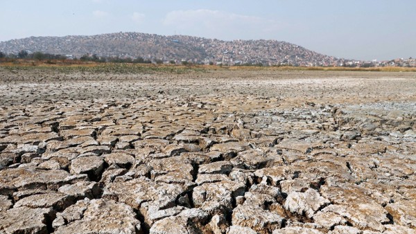 Por escasez de agua declaran a 24 municipios en desastre - El Diario ...