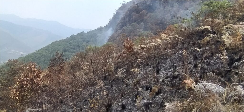 Humareda de chaqueos altera procesos climáticos en el país - El Diario ...