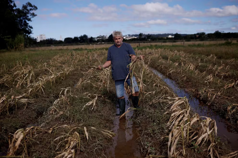 Pérdidas por inundaciones en Brasil superan 3.600 millones de dólares ...