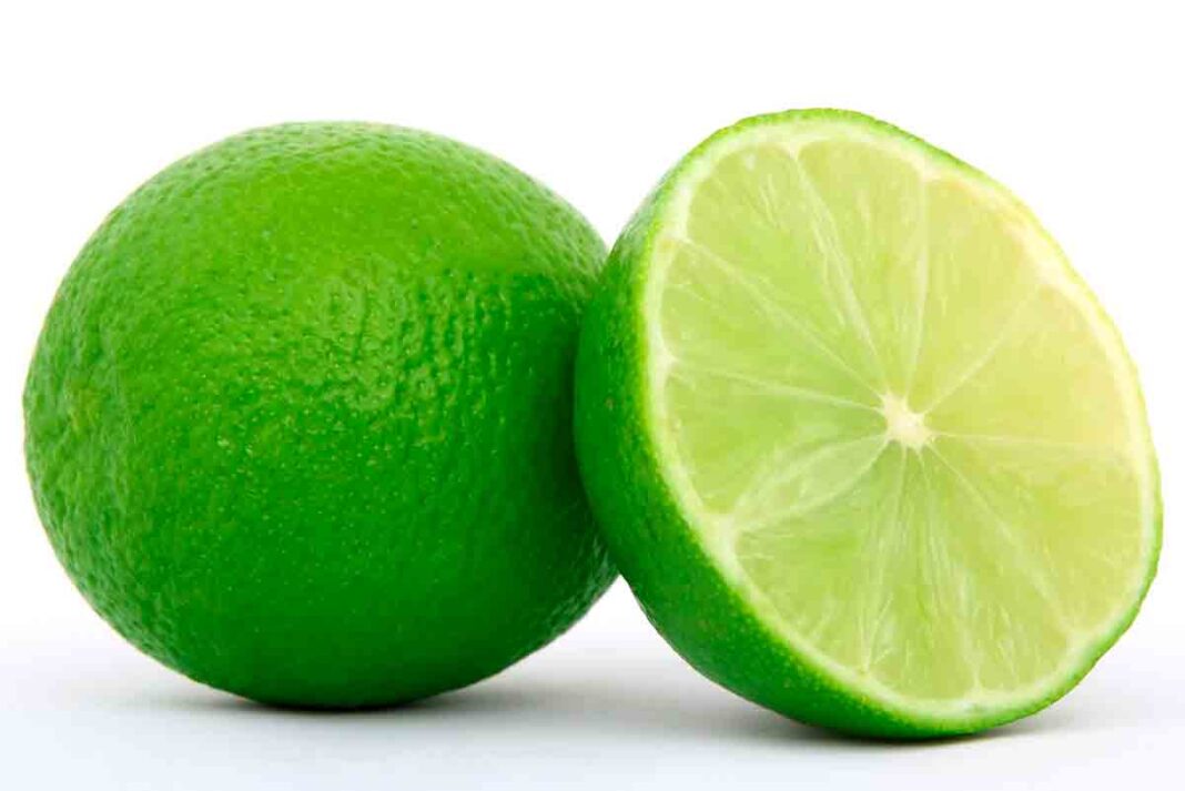 PROPIEDADES, BENEFICIOS Y VALOR NUTRICIONAL DEL LIMÓN El Diario Bolivia