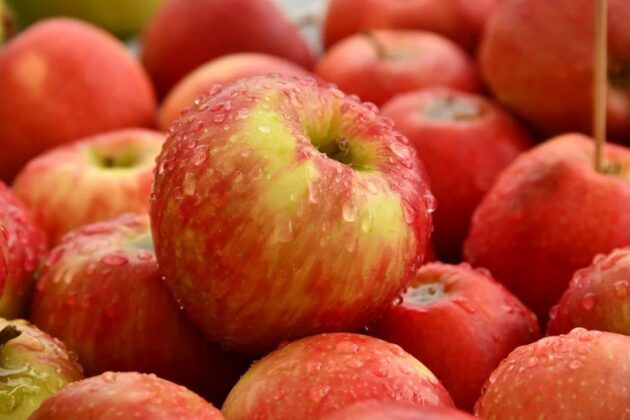 LA MANZANA UNA DE LAS FRUTAS MÁS SALUDABLES - El Diario - Bolivia