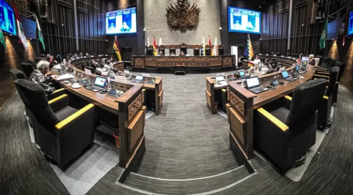Senado sanciona ley de diferimiento de créditos - El Diario - Bolivia