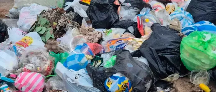 Vecinos denuncian acumulación de basura en Santa Cruz de la Sierra - El ...