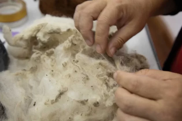 Libro T'arwa ch'iwjamaw revela la riqueza textil ancestral de Bolivia