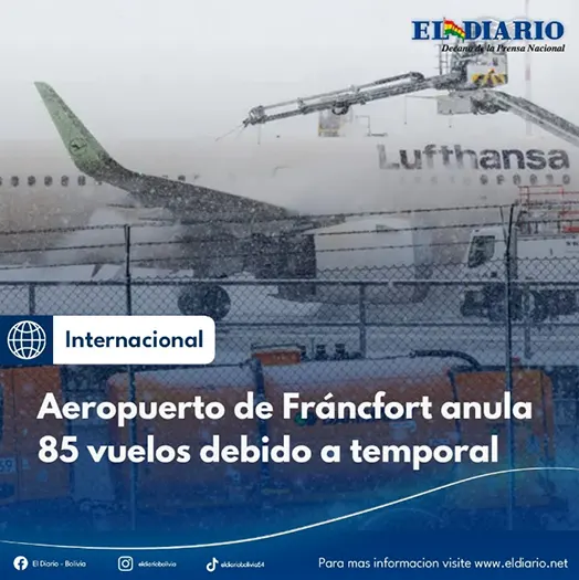 El Diario el-diario
