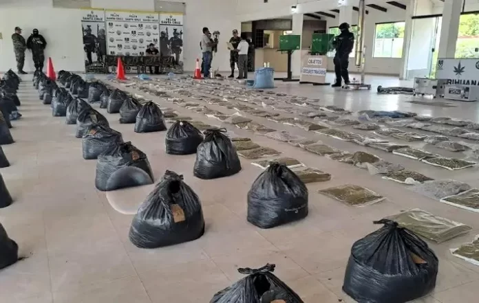 Incautan media tonelada de marihuana marroquí - El Diario - Bolivia