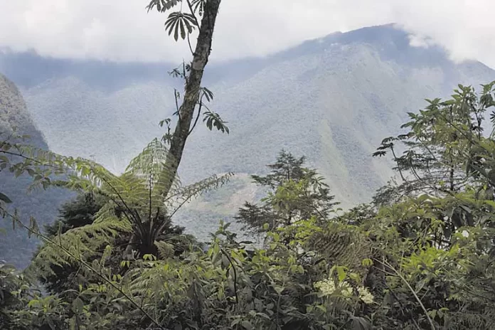 Protegidas---WCS-BOLIVIA---10-cm-x-8