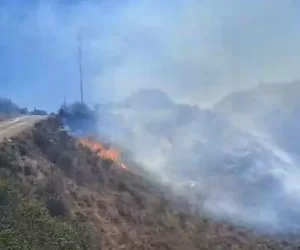 Tarija: Incendio en Quirusilla sigue fuera de control y avanza hacia nuevas comunidades (17:50)