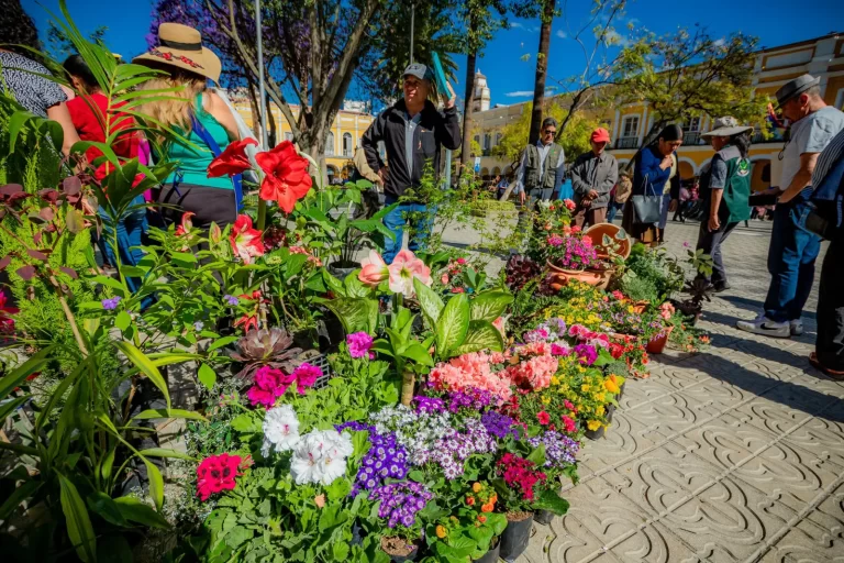 500 viveristas participan  en feria de flores y plantas