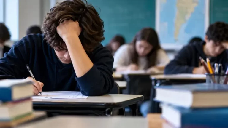 Desempeño escolar cae en todas las materias