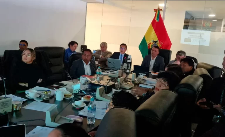 Ley del FMI avanza tras su aprobación en comisión legislativa