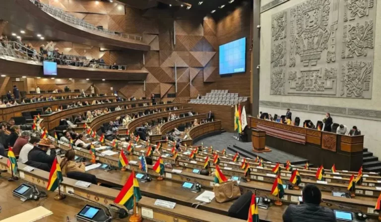 ALP analizará ampliación del estado de excepción en Bolivia